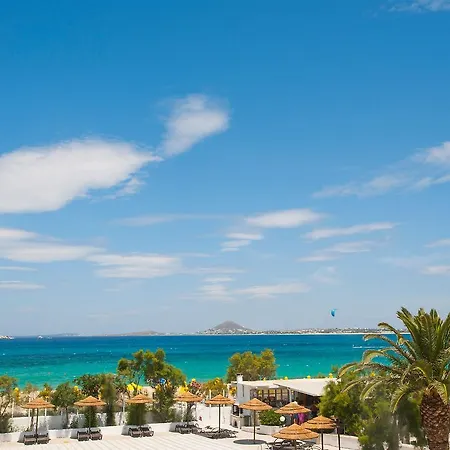 酒店 米科利维格拉酒店 3*