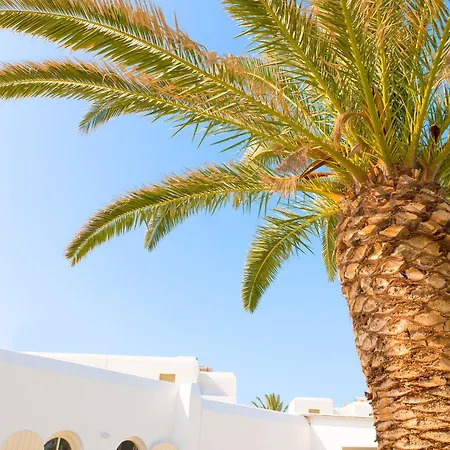 Отель Mikri Vigla Hotel 3*