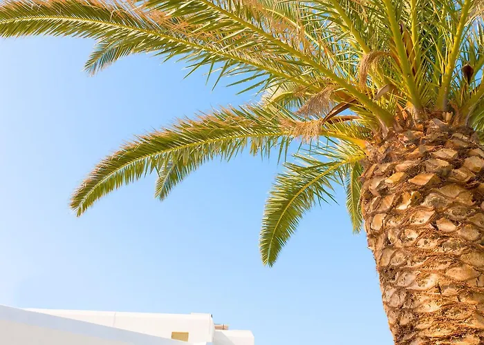 酒店 米科利维格拉酒店 3*